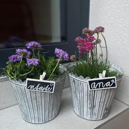 Ana Apartamento Terchová