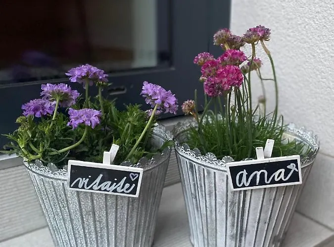 Ana アパート Terchová